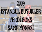 İstanbul Büyükler Boks Şampiyonası