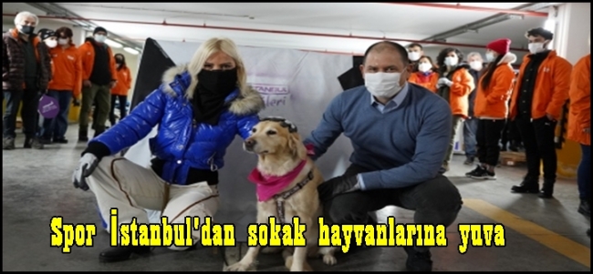  Ömür Gedik ve Spor İstanbul`dan sokak hayvanlarına yuva