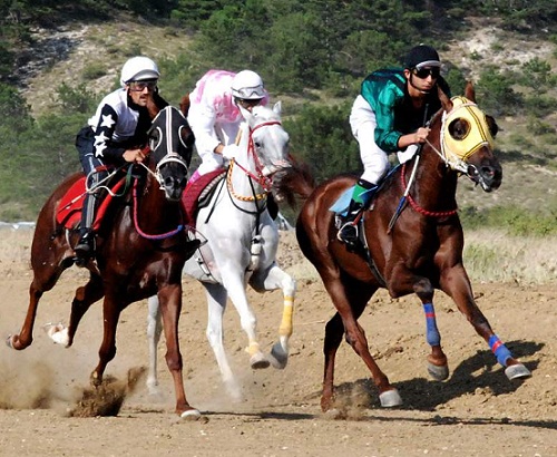 Taşköprü Kültür ve Sarımsak Festivali 