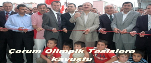 Bayan Boksu Olimpiyatlarda