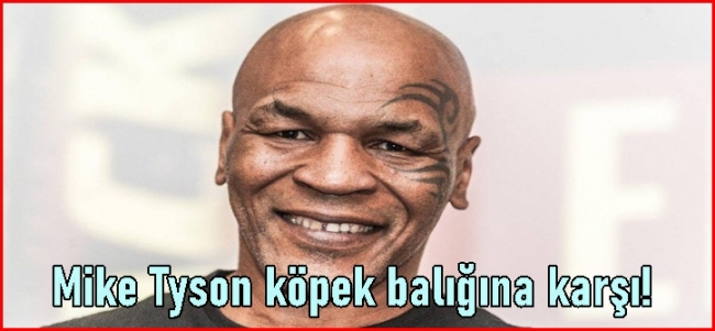 Efsane boksör Mike Tyson, köpek balığı ile karşılaştı