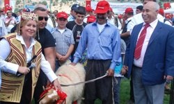 Güreş Ağalığı Fatoş Gürkan´ın 