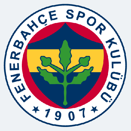 Fenerbahçe&acute;nin açıklması