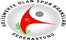 Gelişmekte Olan Spor&acute;larda seçim