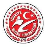 Wushuda hedef 100 bin sporcu